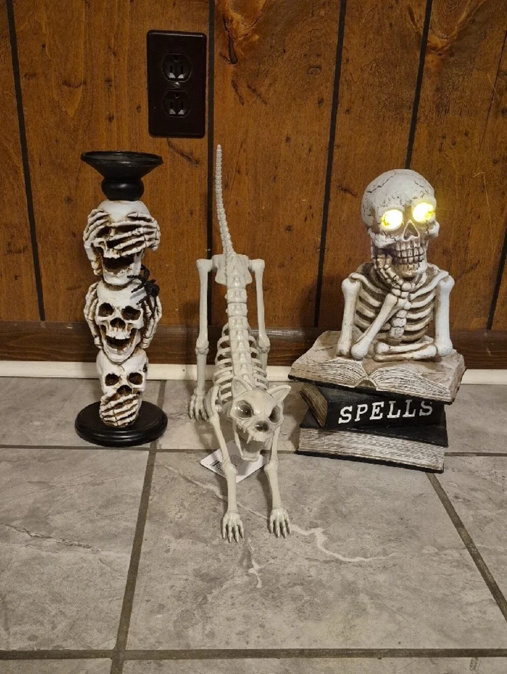 Halloween Skeleton  Figurines - Home Accents